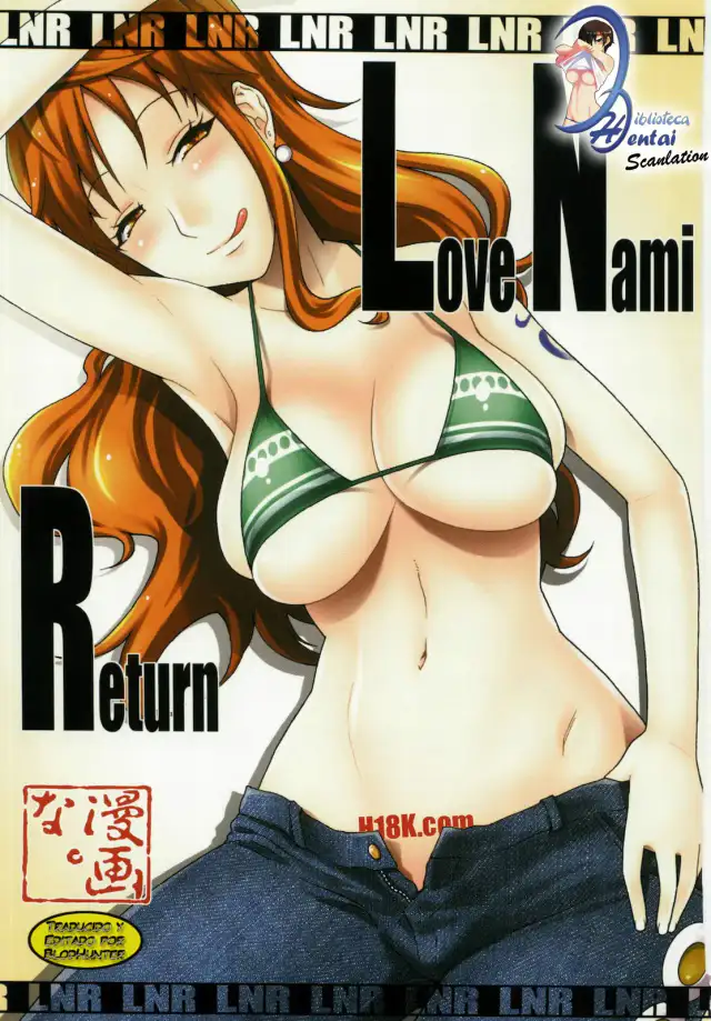LNR - Love Nami Return cover