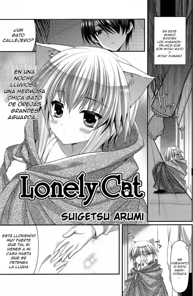 Lonely Cat =FMR= cover