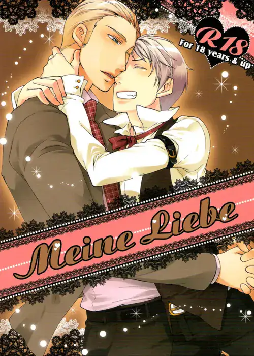 Meine Liebe cover