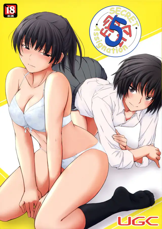 Mikkai 5 | Secret Assignation 5 cover