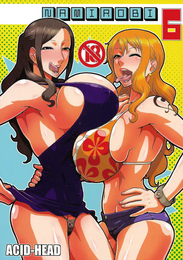 NamiRobi 6 cover