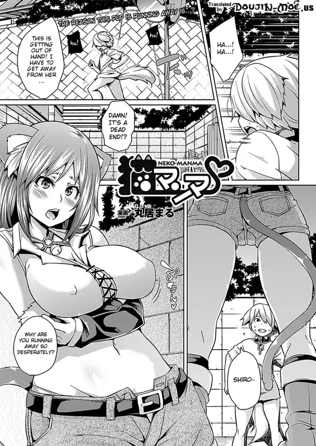 Neko Manma cover