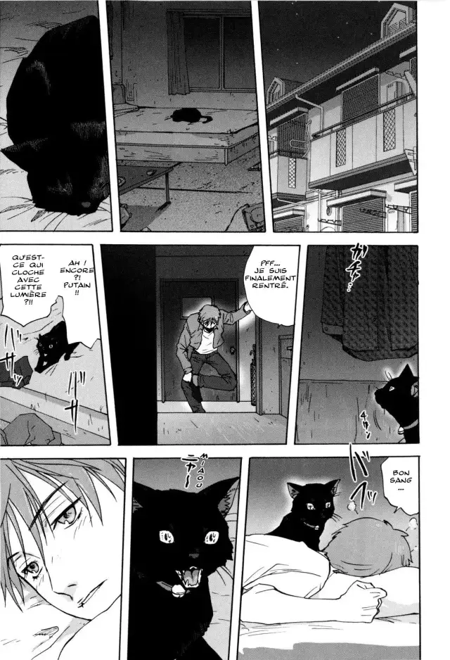 Neko no Ongaeshi | A Cat Repaying Kindness cover