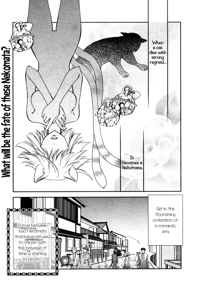 Nekoroma cover