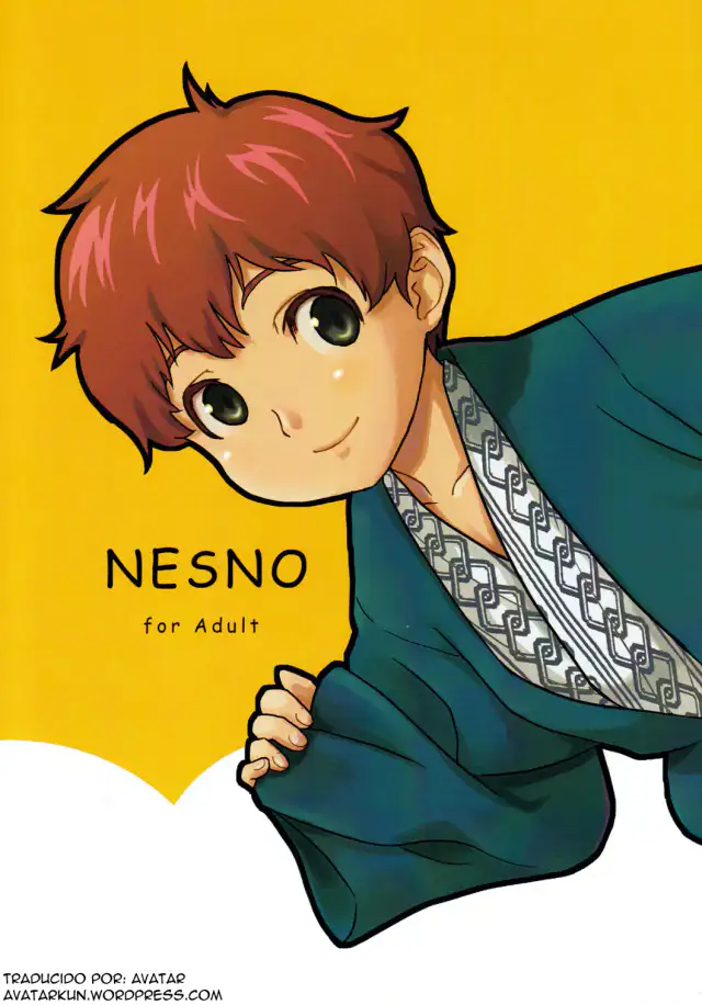 NESNO cover