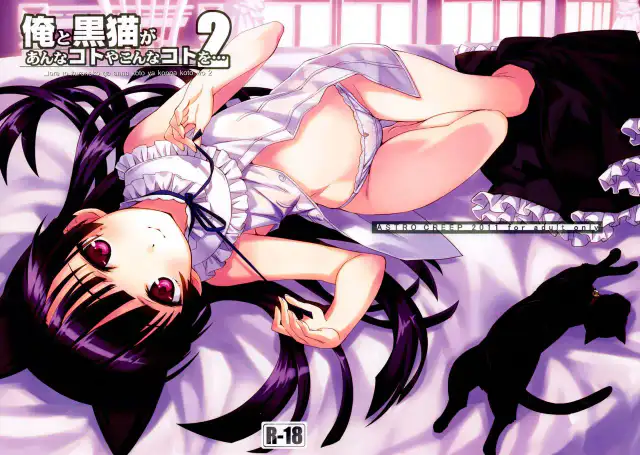 Ore to Kuroneko ga Anna Koto ya Konna Koto wo… 2 cover