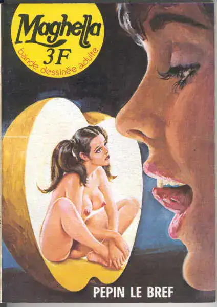 Pépin le bref cover