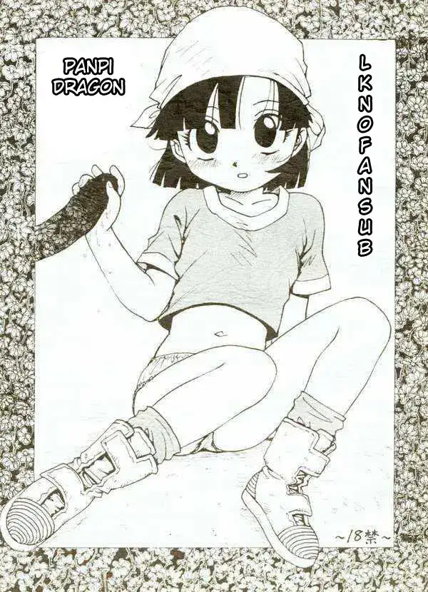 Panpi Dragon cover