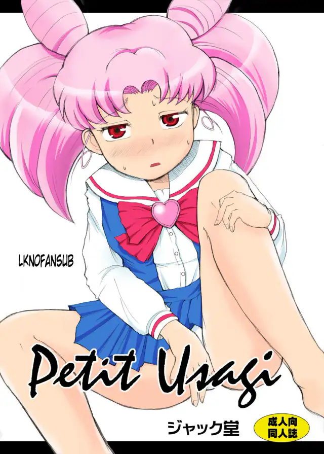 Petit Usagi cover