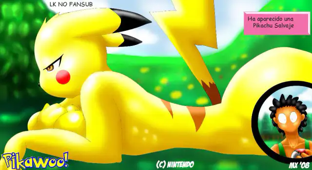 Pikawoo cover