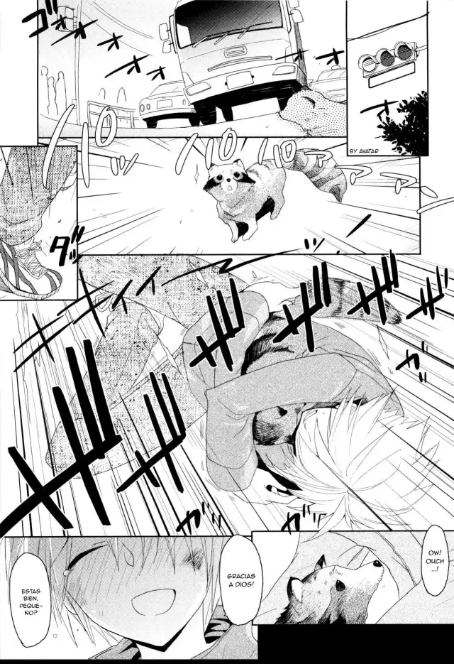 Pompoko cover