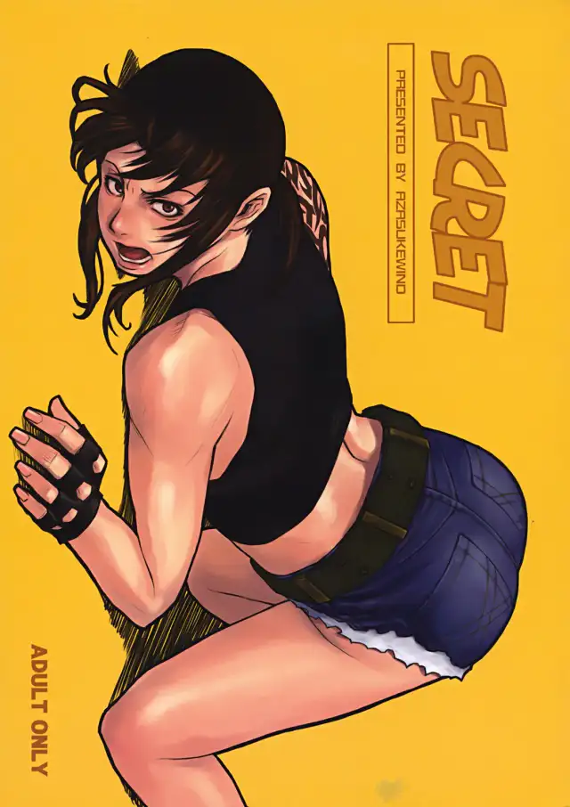 SECRET cover