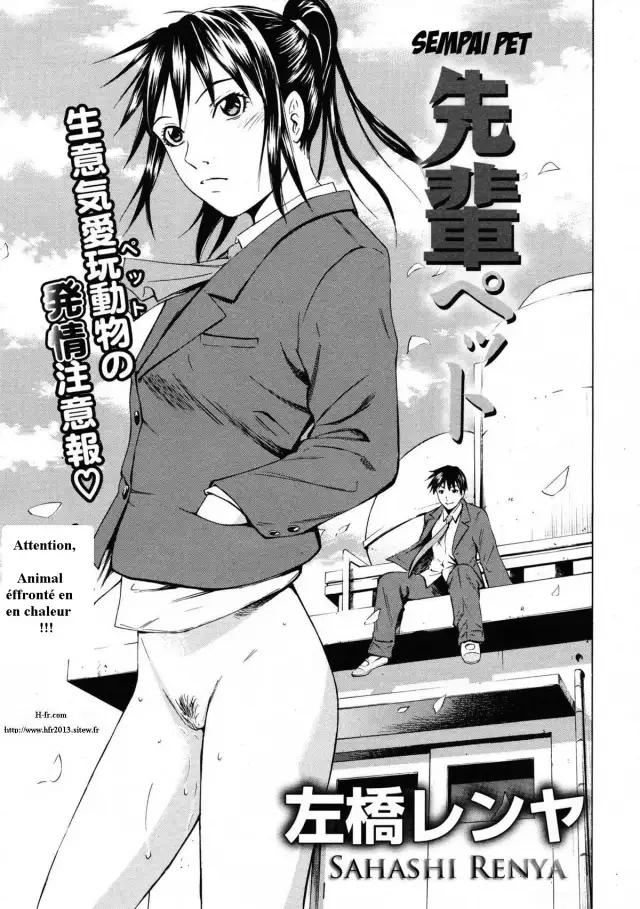 sempai pet cover