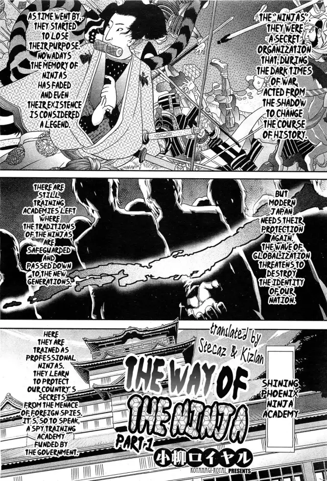 Shinobi no Bi | The Way of the Ninja cover