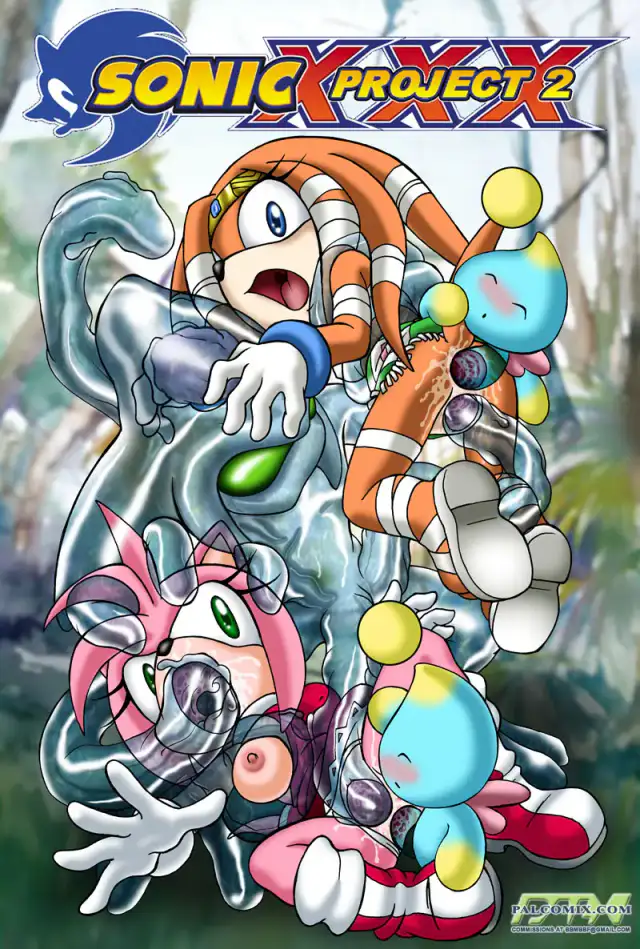 Sonic Project XXX 2 cover
