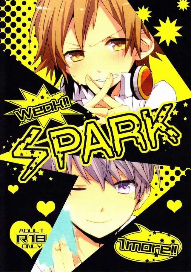 Spark cover