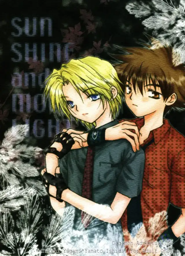 SUNSHINE and MOONLIGHT cover