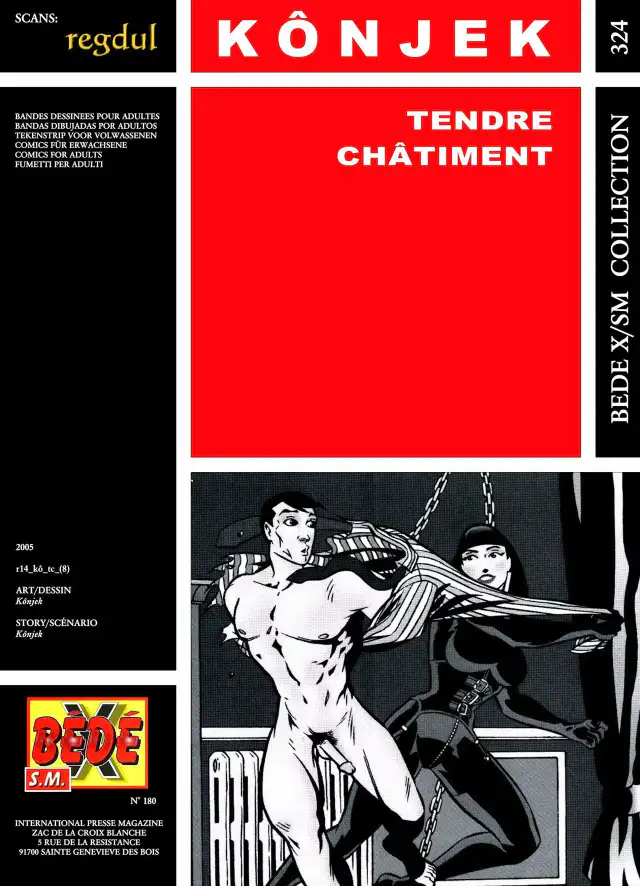 Tendre châtiment cover