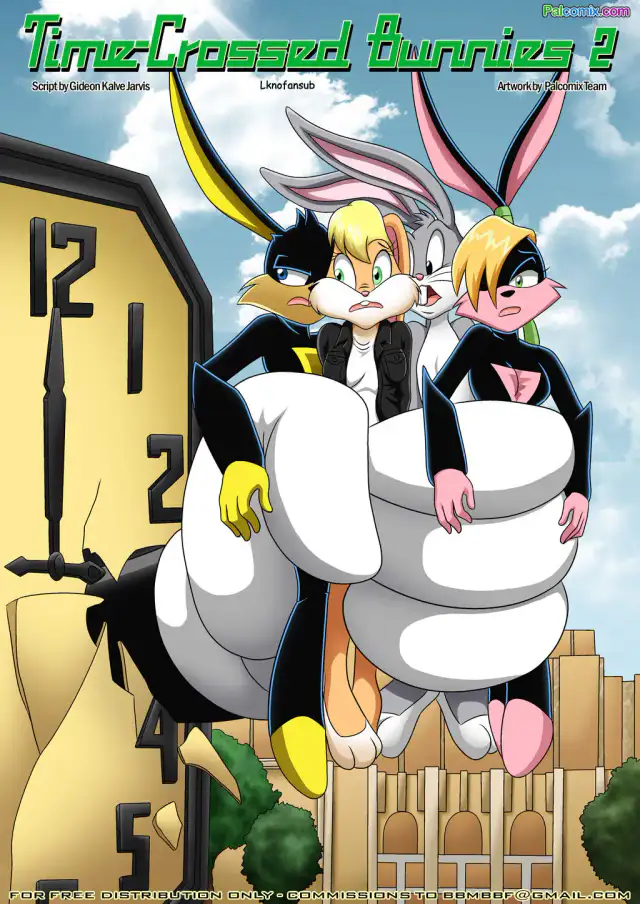 Time crossed bunnies 2 cover