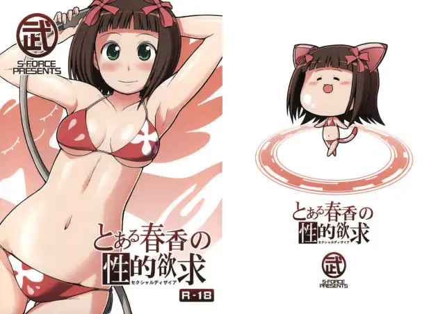 Toaru Haruka no Sexual Desire | A Certain Sexual Desire of Haruka cover