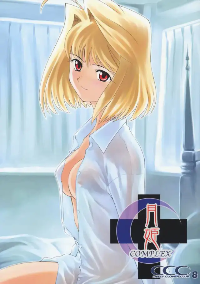 Tsukihime COMPLEX cover