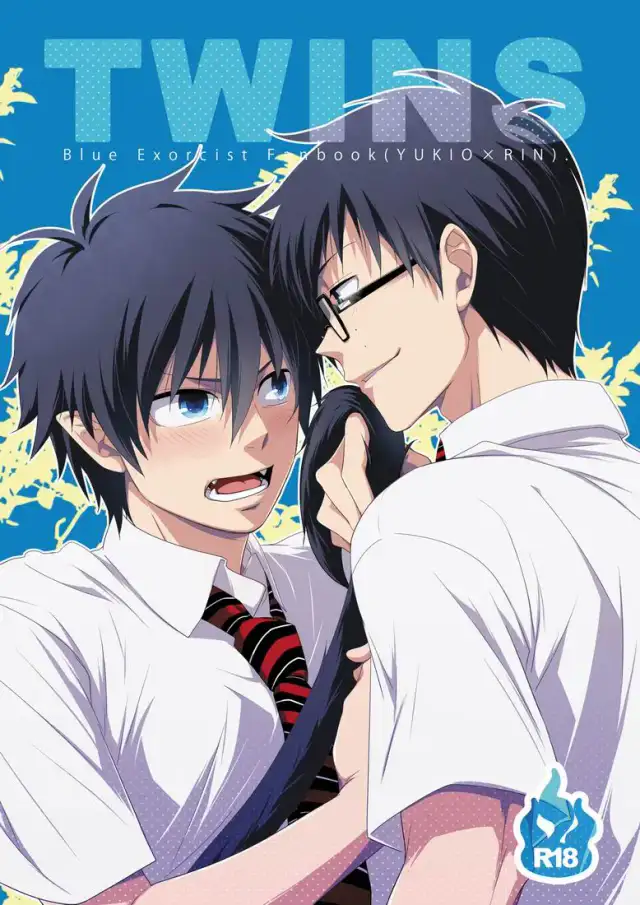 Twins cover
