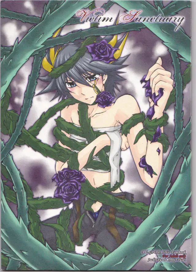 Victim Sanctuary cover