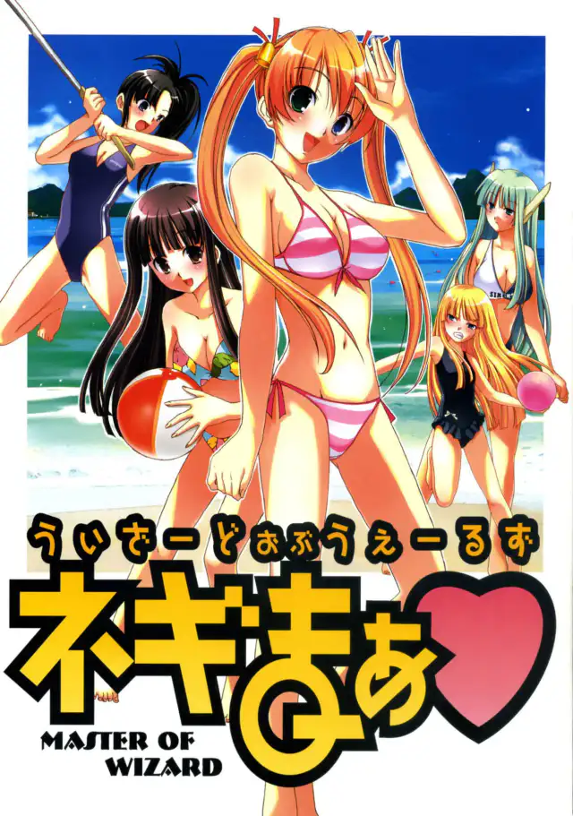 Wizard of Wales Negima cover