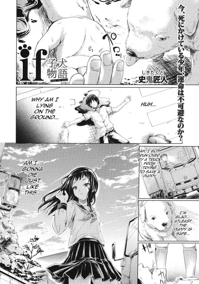 IF (Koinu Monogatari) | IF cover