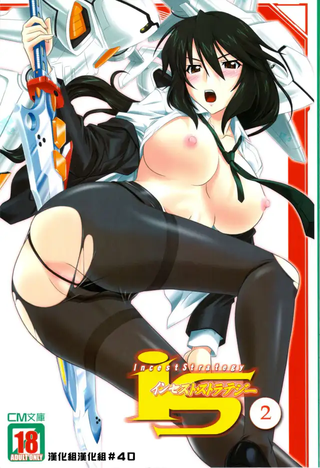 is Incest Strategy 2 cover