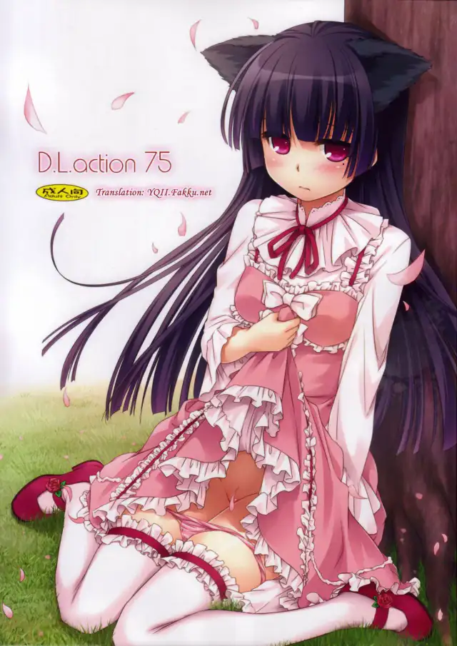 D.L.action 75 cover