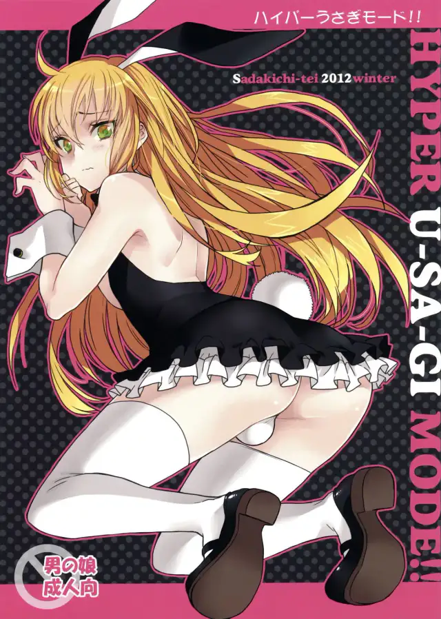 Hyper Usagi Mode!!  [English] =SW= cover