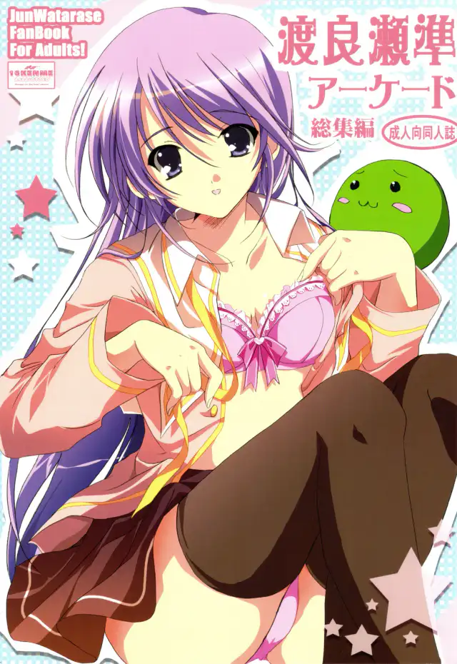 Watarase Jun Arcade Compilation cover