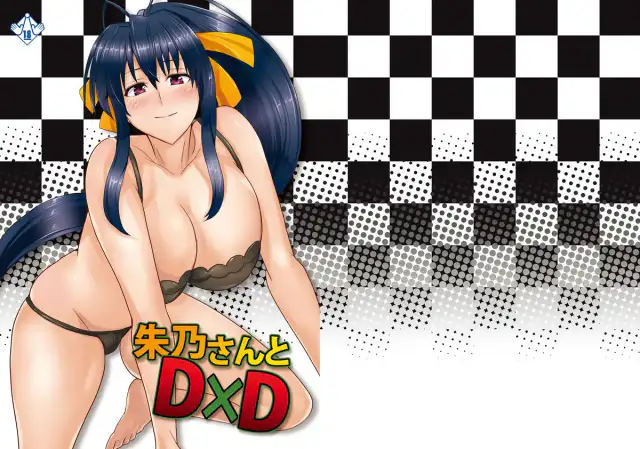 Akeno-san to DxD cover