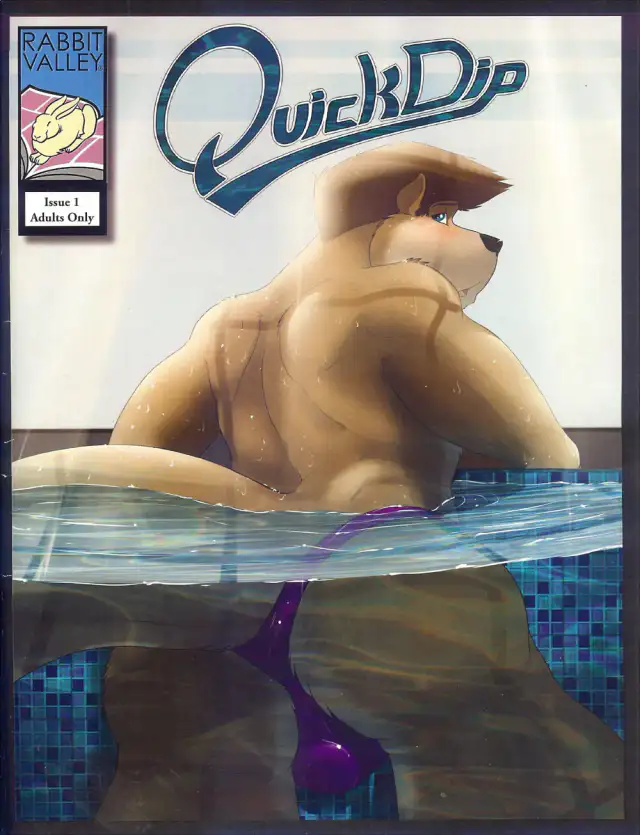 Quick Dip cover