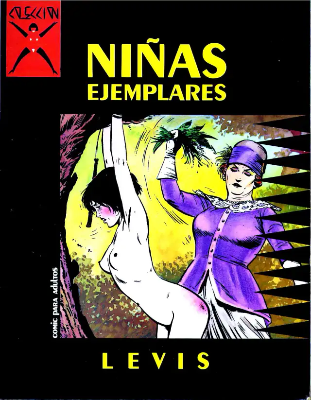 Niñas Ejemplares cover
