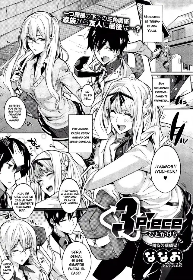 3 Piece cover