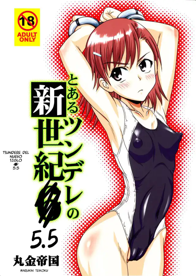 Tsundere Shinseiki 5.5 cover