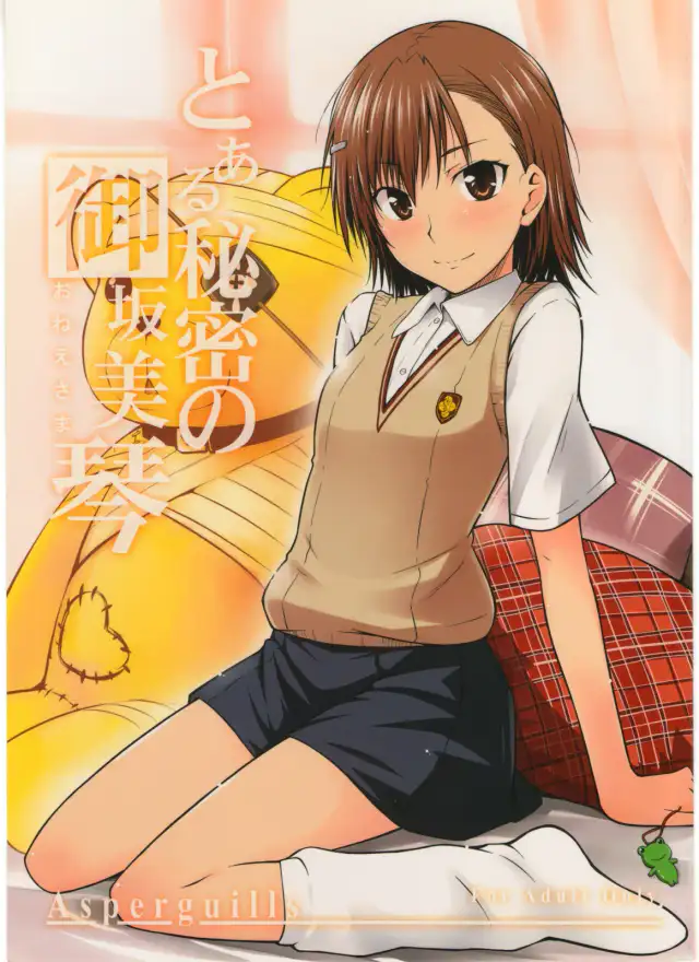 Toaru Himitsu no Onee-sama cover
