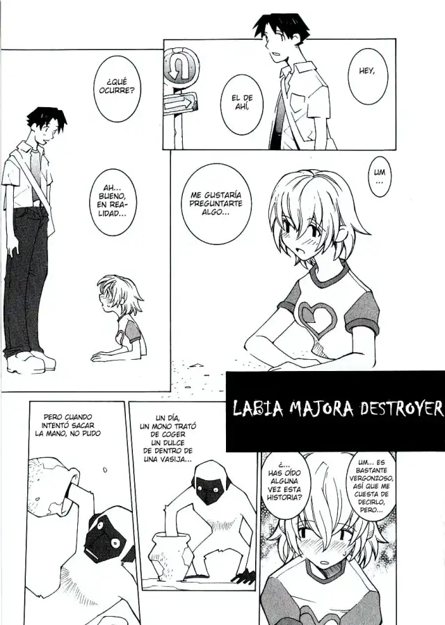 Labia Majora Destroyer cover