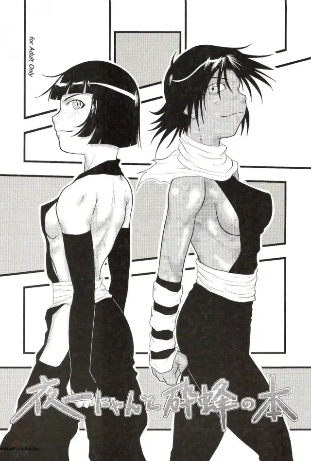 Yoruichi Nyan to Soi Fon no Hon cover