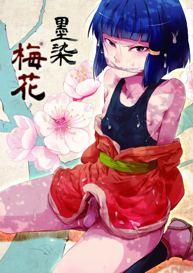 Sumizome Baika cover