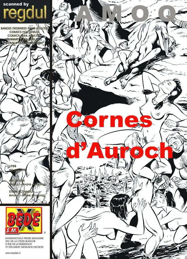Cornes d'auroch cover