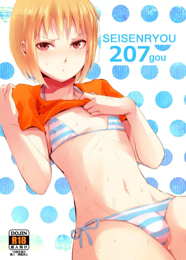 Seisenryou 207gou cover