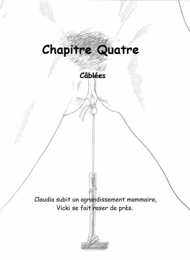Plaisirs Liés! Chapitre 4 cover