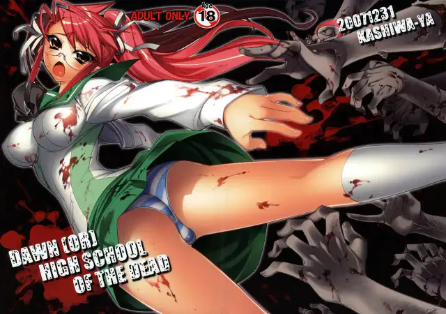 DAWN  HIGHSCHOOL OF THE DEAD cover