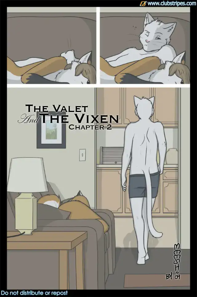 The Valet &amp; The Vixen T.2 cover