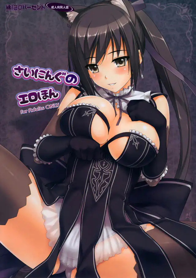 Shining no Erohon cover